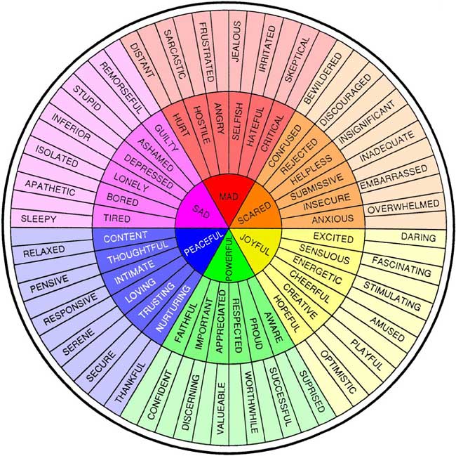 An emotion wheel to help you recognise emotions