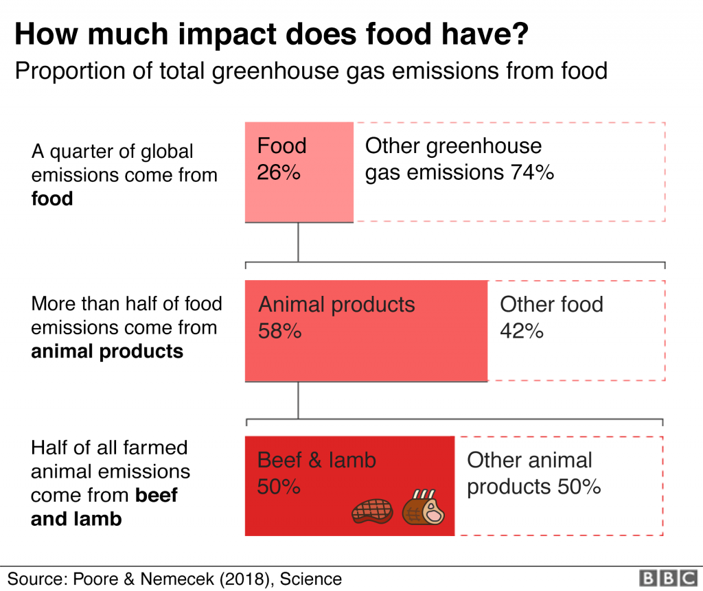 Climate crisis - Total greenhouse emissions from food